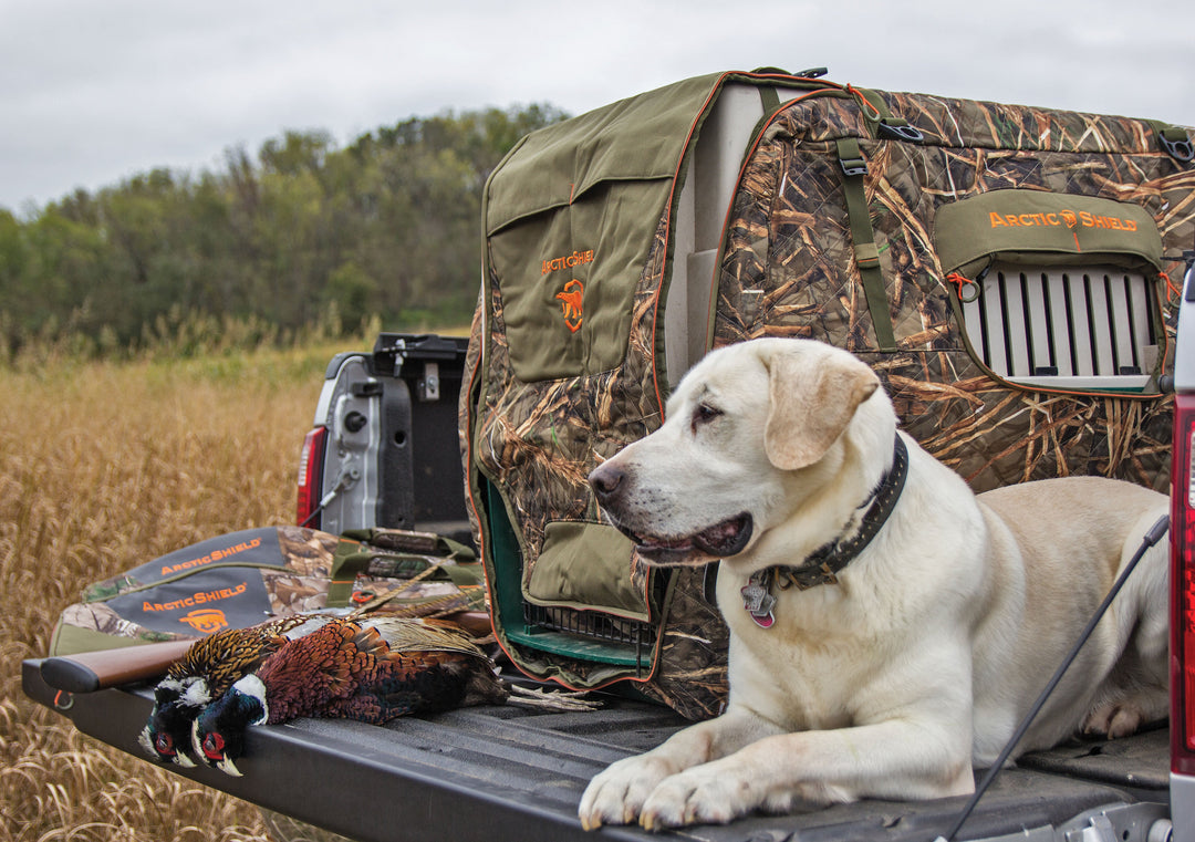 A hunting dog laying on their truck bed next to their dog kennel which is insulated and camouflaged by ArcticShield Kennel Cover.